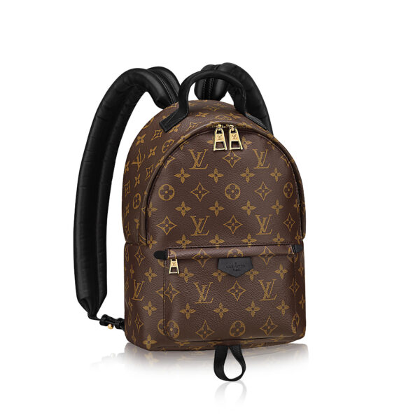 Palm Springs Backpack PM Monogram Canvas