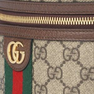 Gucci Ophidia