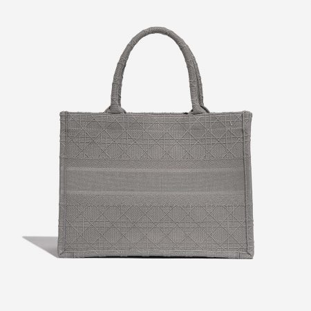 Dior Book Tote Medium Canvas Grey
