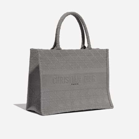 Dior Book Tote Medium Canvas Grey