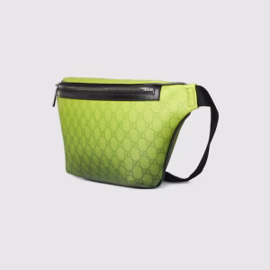 Gucci Chroma Belt Bag